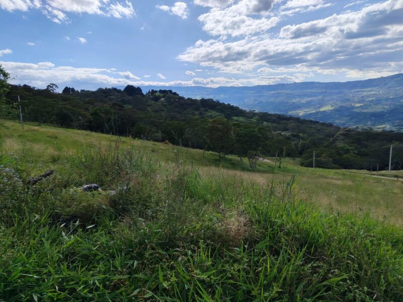 Lote en zona turística de Moniquirá – 1000 m²