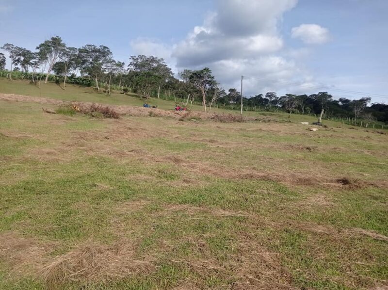 Lote en zona turística de Moniquirá – 1000 m²