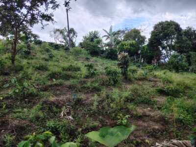 Lote en venta en Moniquirá – 452 m²