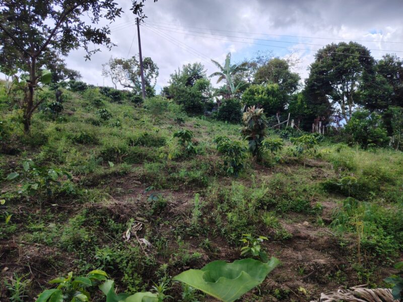 Lote en venta en Moniquirá – 452 m²