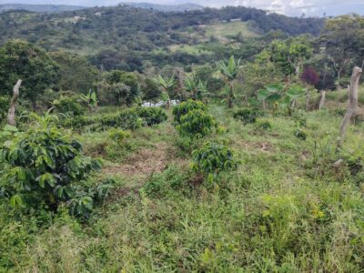 Lote en venta en Moniquirá