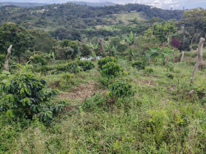 Lote en venta en Moniquirá – 452 m²