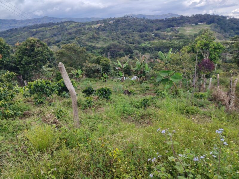 Lote en venta en Moniquirá – 452 m²