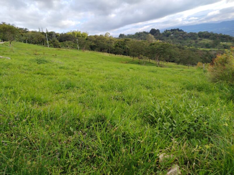Lote en zona turística de Moniquirá – 1000 m²