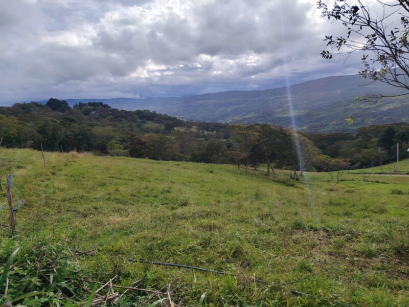 Lote en zona turística de Moniquirá – 1000 m²