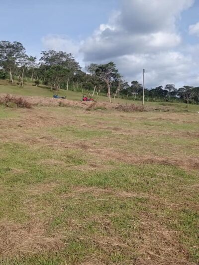 Terrenos