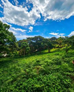 SE VENDE LOTE DE 750 m² EN MONIQUIRÁ – VEREDA SAN CRISTÓBAL