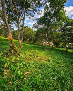 SE VENDE LOTE DE 750 m² EN MONIQUIRÁ – VEREDA SAN CRISTÓBAL