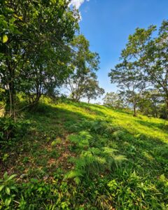 SE VENDE LOTE DE 750 m² EN MONIQUIRÁ – VEREDA SAN CRISTÓBAL