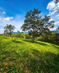 SE VENDE LOTE DE 750 m² EN MONIQUIRÁ – VEREDA SAN CRISTÓBAL